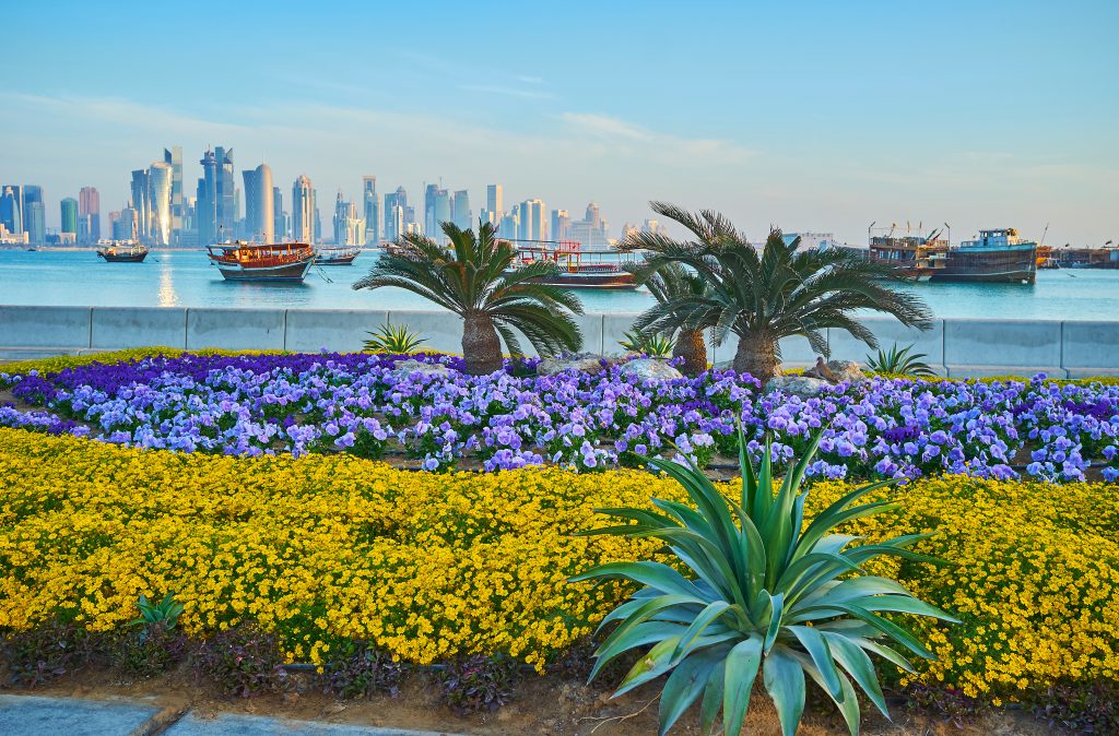 The Corniche embankment is decorated with beautiful flower beds and palm alley, stretching along the coast of Persian Gulf, Doha, Qatar.