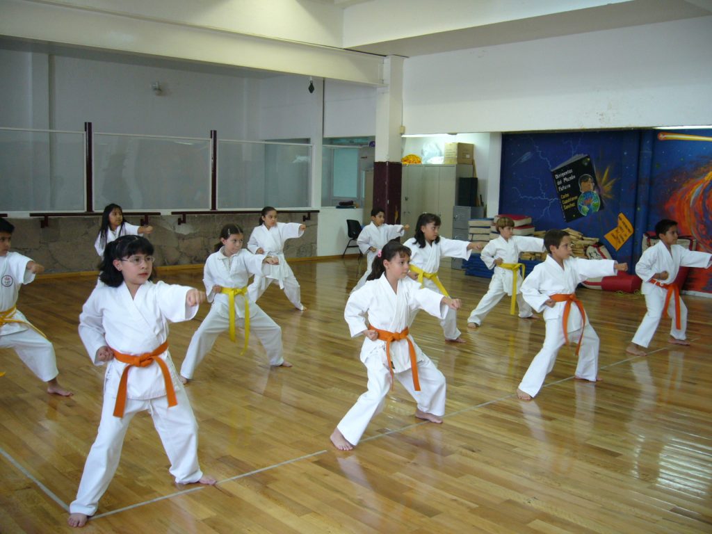 Why are Karate Classes Important for you?