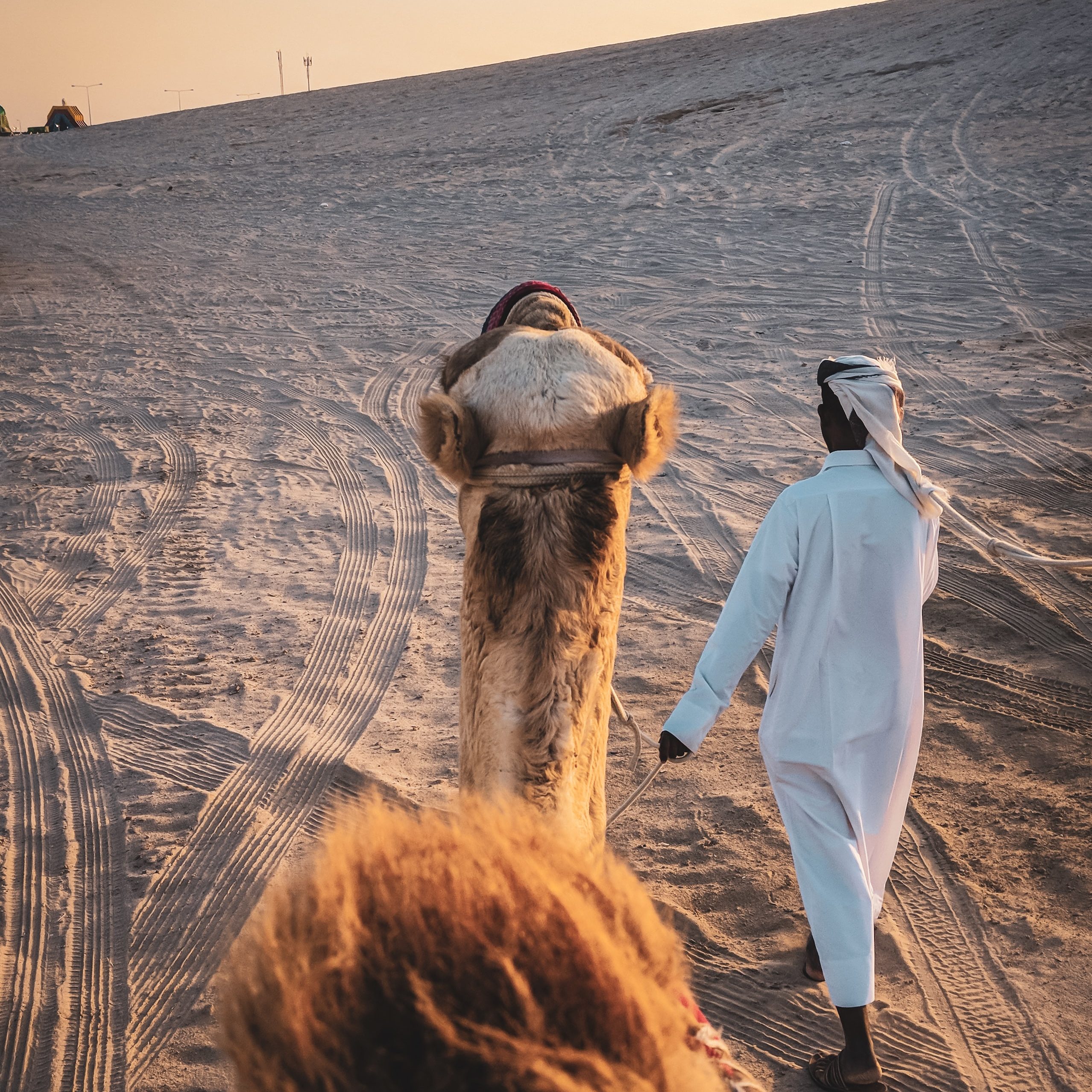 Enjoy a Wobbly Camel Ride on a Desert Safari | Things to Do with Kids